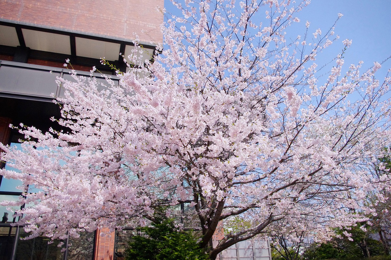 札幌の不動産売却における無料査定が早い理由は？