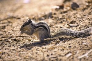 サブリースの査定方法とそのポイントは？