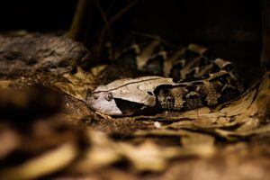 不動産売却時に知っておくべき一括査定の危険とは？