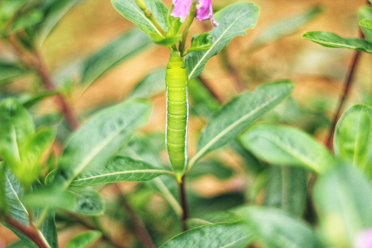 任意売却の査定を依頼する際の相談ポイントは？